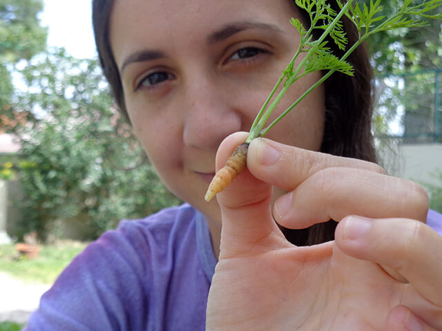 Ornela Recetas Vegetarianas y Naturistas