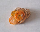 Escabeche de Zanahorias
