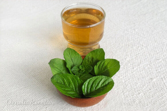 Refresco de Menta. Ornela Recetas.